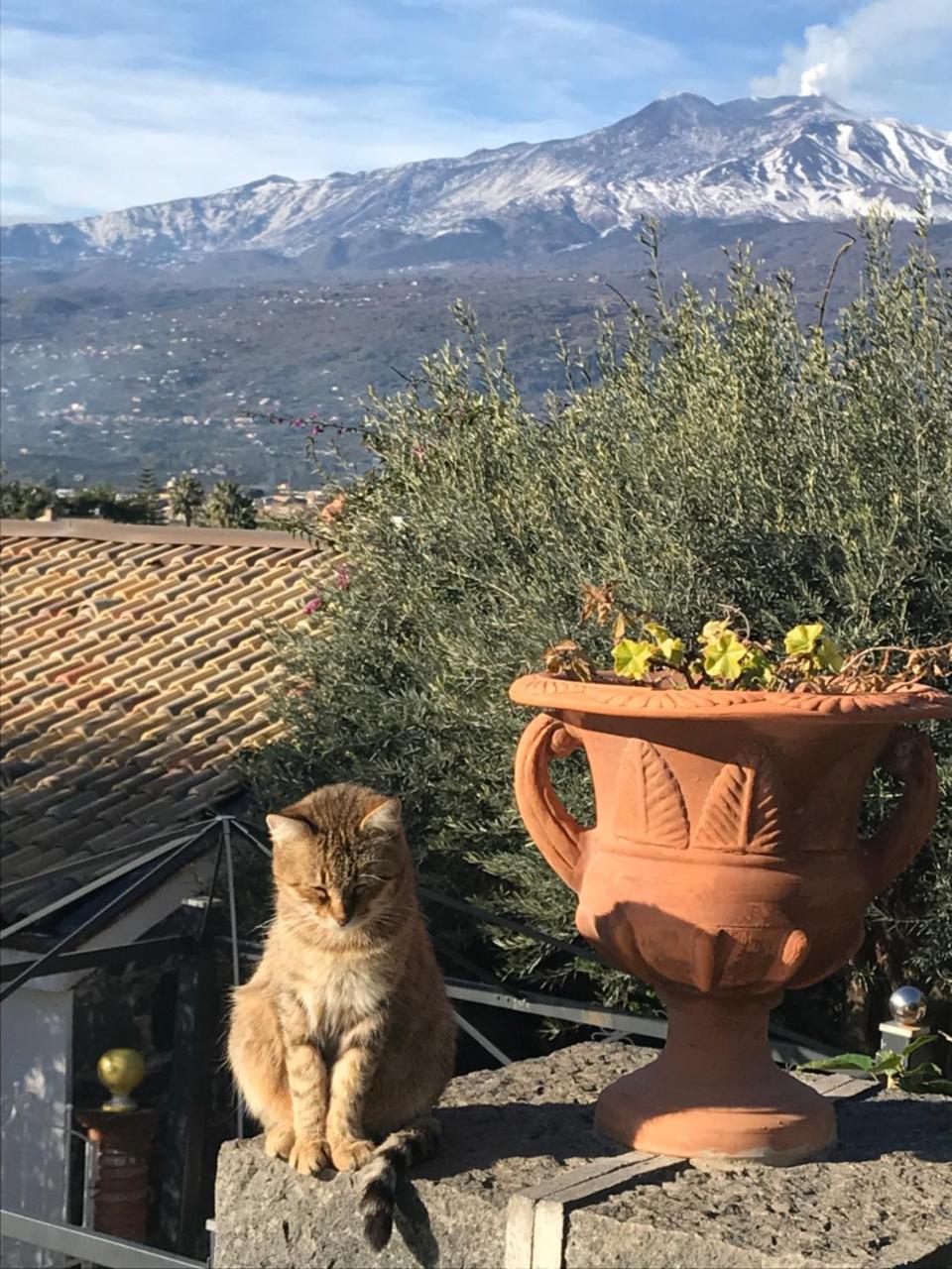 Agriturismo Borgo San Biagio Villa Calatabiano Buitenkant foto